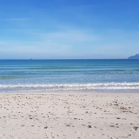 Ideal Mallorca - Moli * 포엔샤 항구